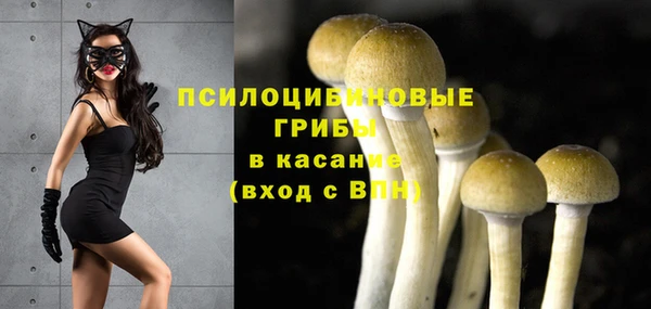 дурь Няндома