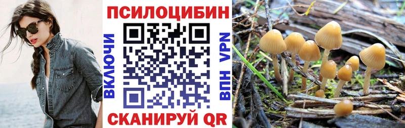 наркотики  Апрелевка  Галлюциногенные грибы Psilocybine cubensis 